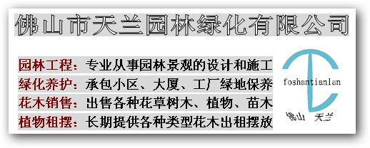 佛山天蘭園林綠化 打造高品質園林綠化工程的施工實踐