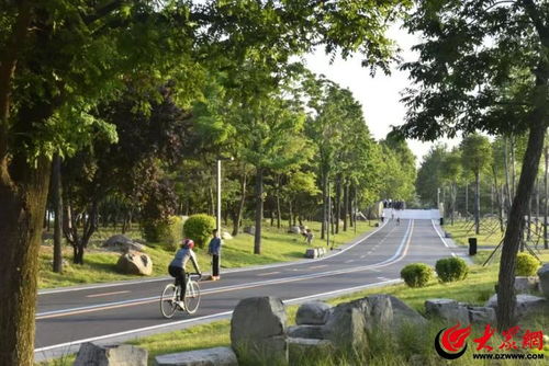 2024年濰坊 匠心鑄就景觀優(yōu)美、生態(tài)良好的城市園林綠化新格局